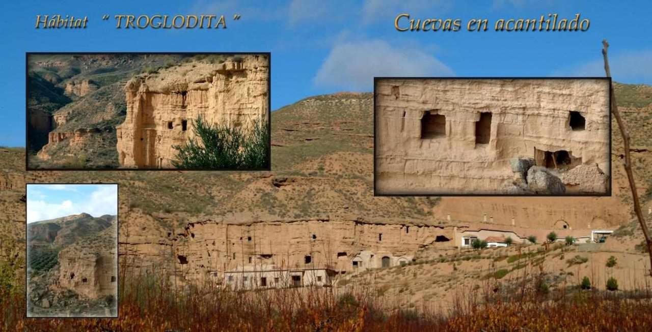 Habitat Troglodita Almagruz Purullena エクステリア 写真